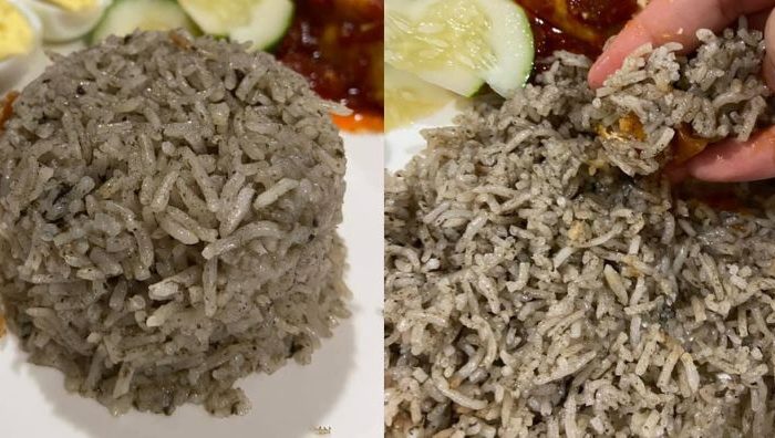 nasi lemuni