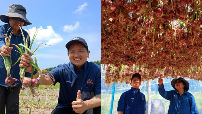 perak hasilkan bawang tempatan