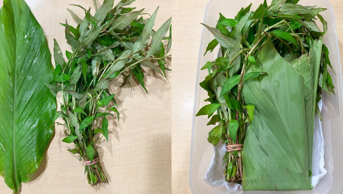 petua simpan daun kunyit