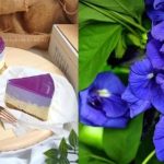 Cheesecake Bunga Telang, Ikut ‘TIP’ Ini Supaya Kek Tidak Lembap