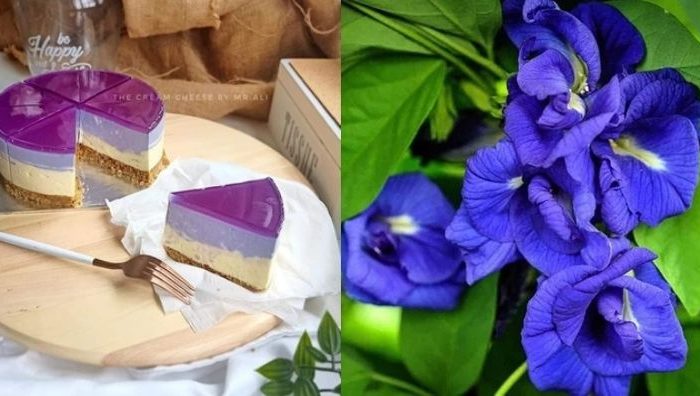 cheesecake bunga telang