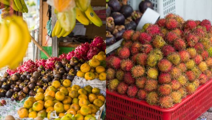 musim buah
