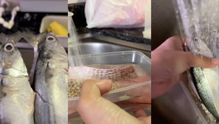 cara simpan ikan