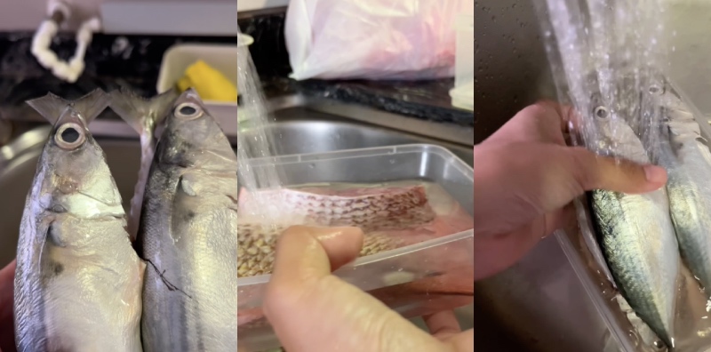 Cara Simpan Ikan Paling Mudah, Lebih Sebulan Pun Nampak Segar Lagi