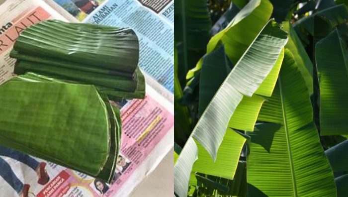 daun pisang