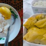 Cara Mudah Buat Pulut Durian & Kuah Santan, Nikmatnya Tak Terkata!