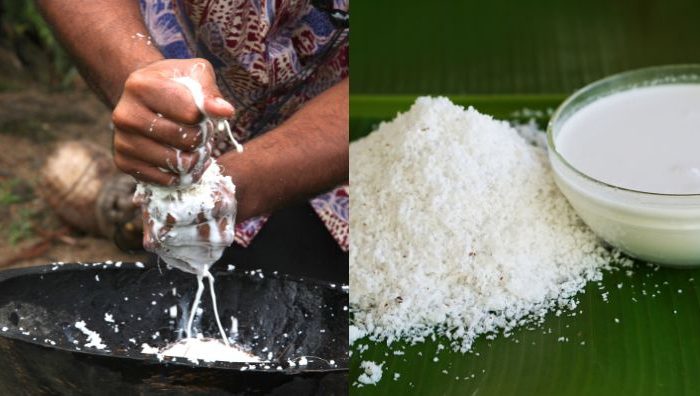 santan kelapa