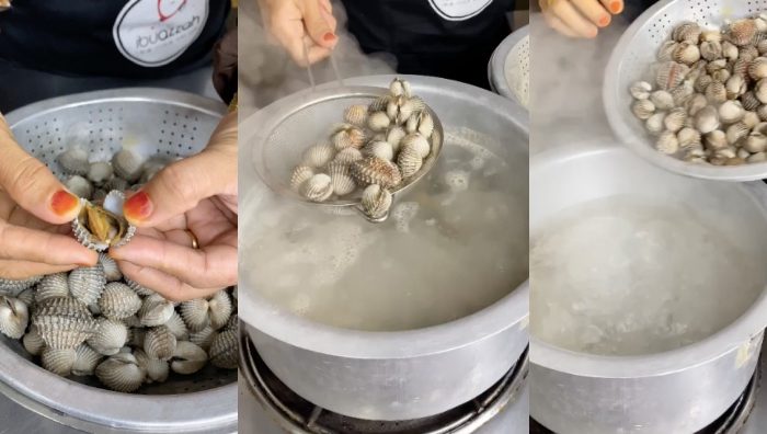 tips rebus kerang