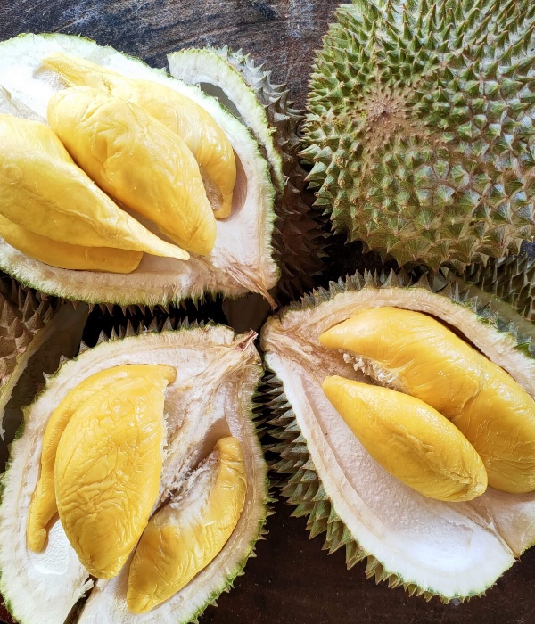 jenis durian di malaysia