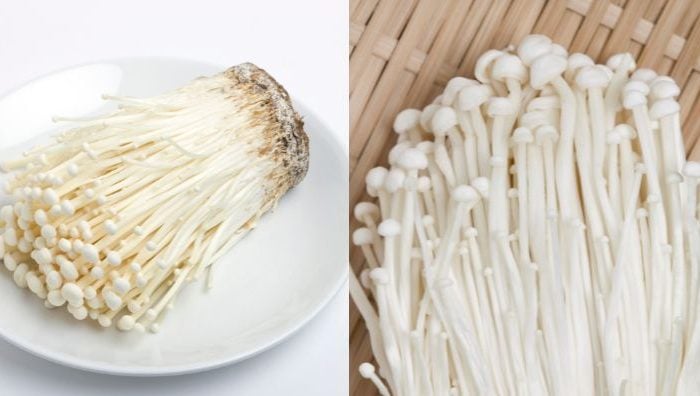 khasiat cendawan enoki