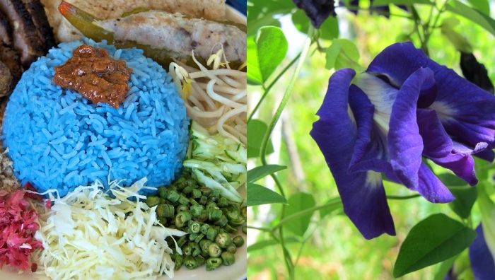 nasi kerabu bunga telang