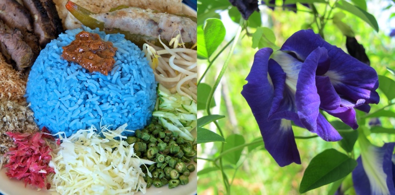 nasi kerabu bunga telang