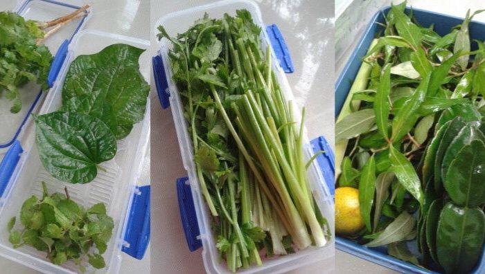 petua sayur tahan lama