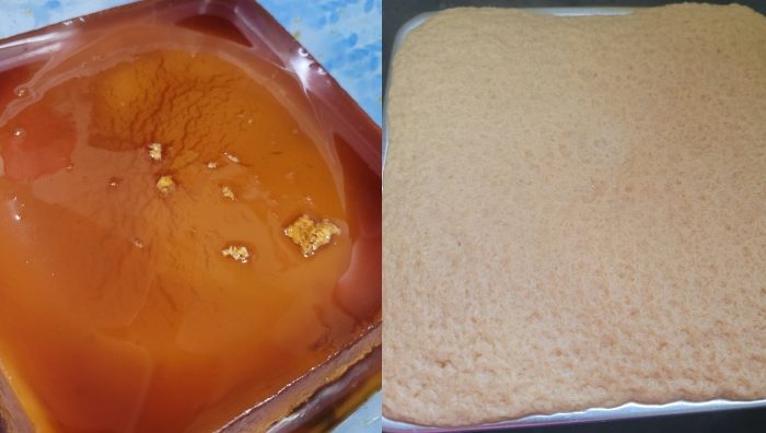 resepi puding karamel kukus