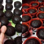 Apam Coklat Kukus, Guna 3 Langkah Saja Tapi Hasil Gebu Luar Biasa!