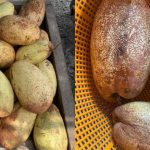 Cara Makan Buah Binjai & Khasiat Di Sebalik Rasa Masam Manis