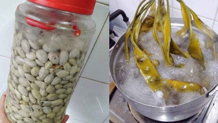 cara buat jeruk petai