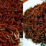 Resipi Mi Goreng Basah ‘Bodoh’, Cara Mudah Tapi Licin Sekuali!