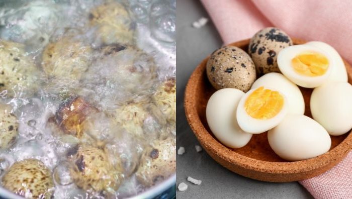 telur puyuh