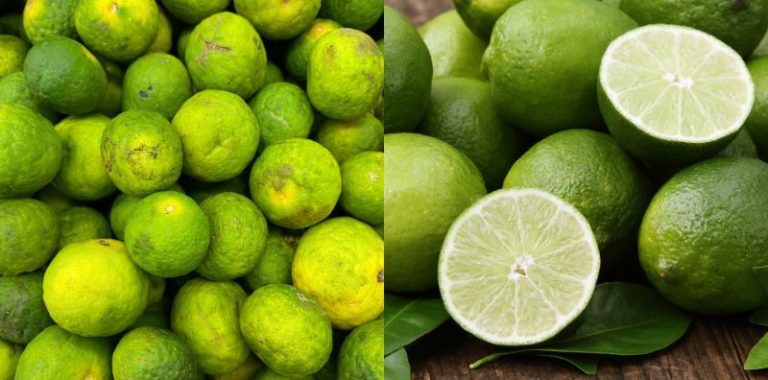 Jenis Limau Ada Banyak, Nampak Sama Tapi Banyak Beza!