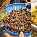 Resipi Siput Sedut Masak Lemak Cara ‘Pekat’, Makan Tak Ingat Dunia!