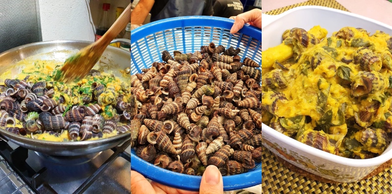 siput sedut masak lemak