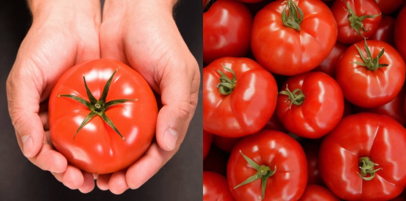 Tips Pilih Tomato Segar Dan Tahan Lama, Elak Terbeli Yang Rasa Masam!