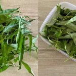 Cara Simpan Kangkung Supaya Tak Cepat Layu, Dah Seminggu Pun Tetap Hijau!