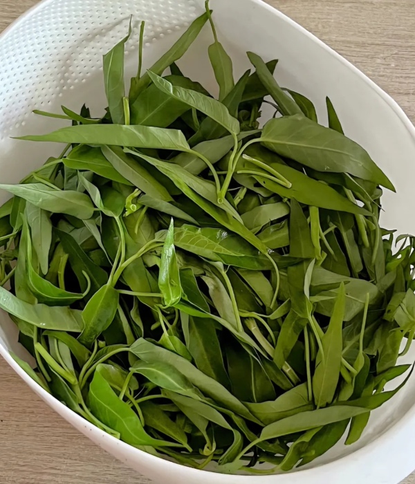 cara simpan kangkung