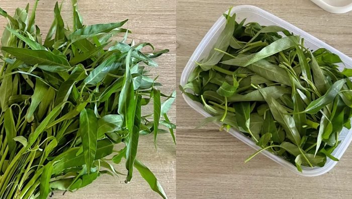 cara simpan kangkung