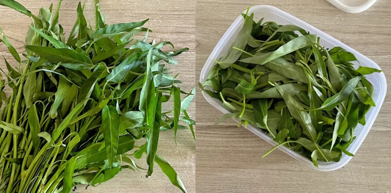 Cara Simpan Kangkung Supaya Tak Cepat Layu, Dah Seminggu Pun Tetap Hijau!