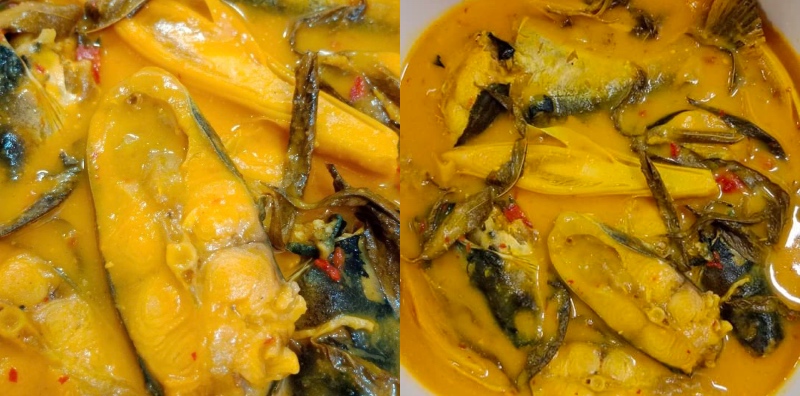 resepi ikan patin tempoyak