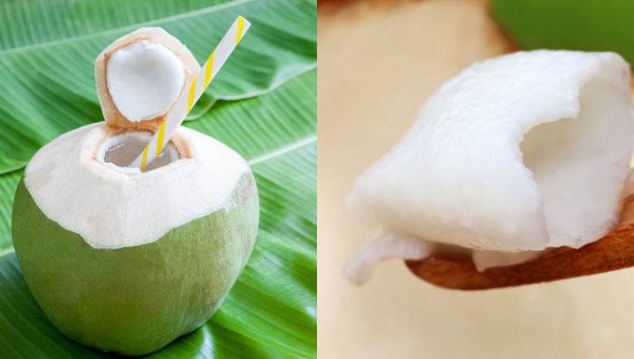 kelapa muda