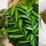 10 Jenis Daun Untuk Masakan Lebih Beraroma, Kena Kenal Sebelum Kahwin!