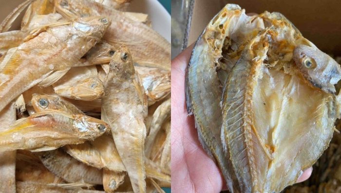 jenis ikan kering