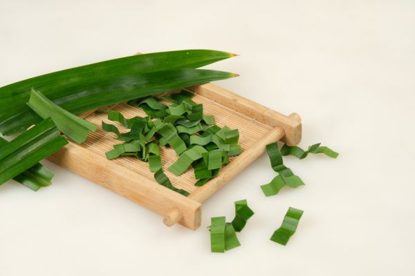 daun pandan