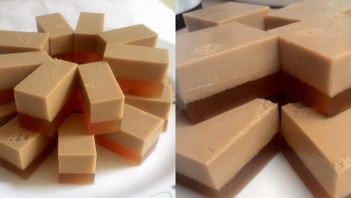 agar agar santan
