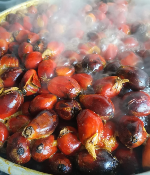 bingka kelapa sawit