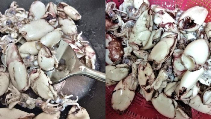cara buang air sotong