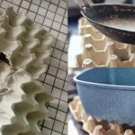 5 Cara DIY Dari Kotak Telur Terpakai, Rupanya Boleh Guna Buat Alas Periuk Juga