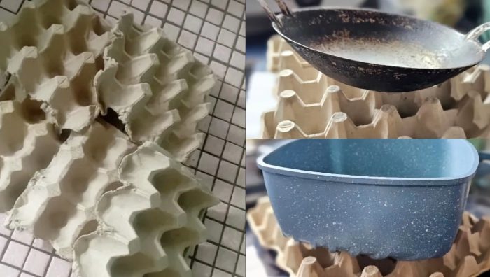 diy dari kotak telur