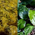 Resipi Rendang Daun Kaduk, Rasa Unik, Pekat & Semestinya Menyelerakan!