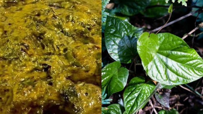 resipi rendang daun kaduk