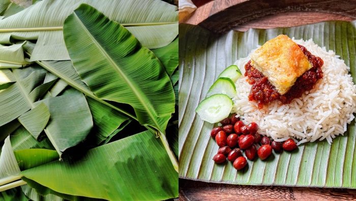 kebaikan daun pisang