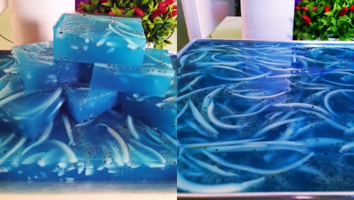 agar agar kelapa