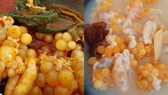 telur ikan