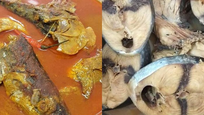 gulai ikan ayo