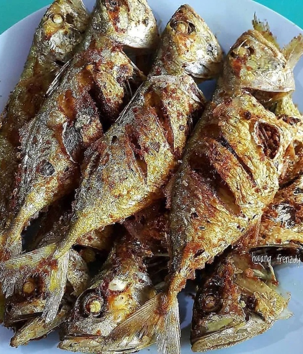 jenis ikan sedap digoreng