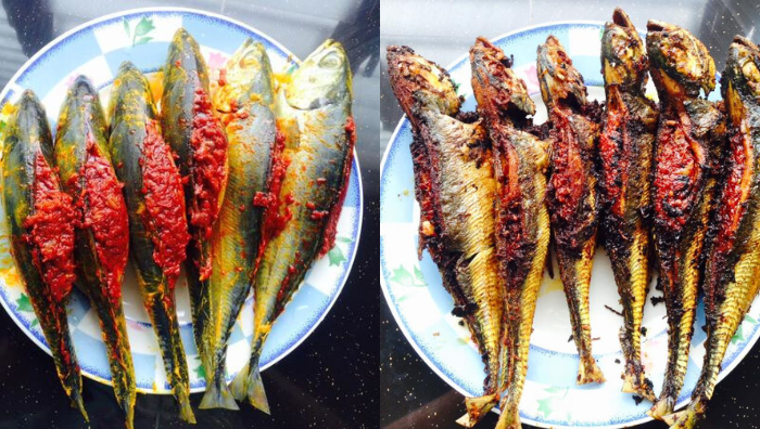 ikan cencaru