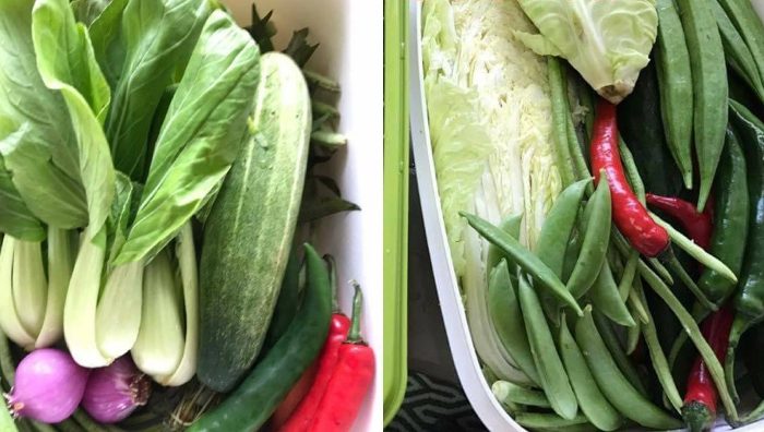 simpan sayur